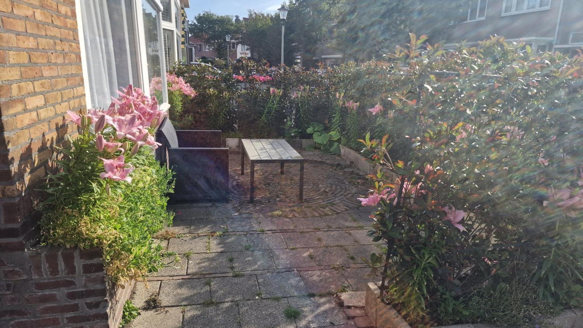 Guesthouse Zandvoort Ngoại thất bức ảnh