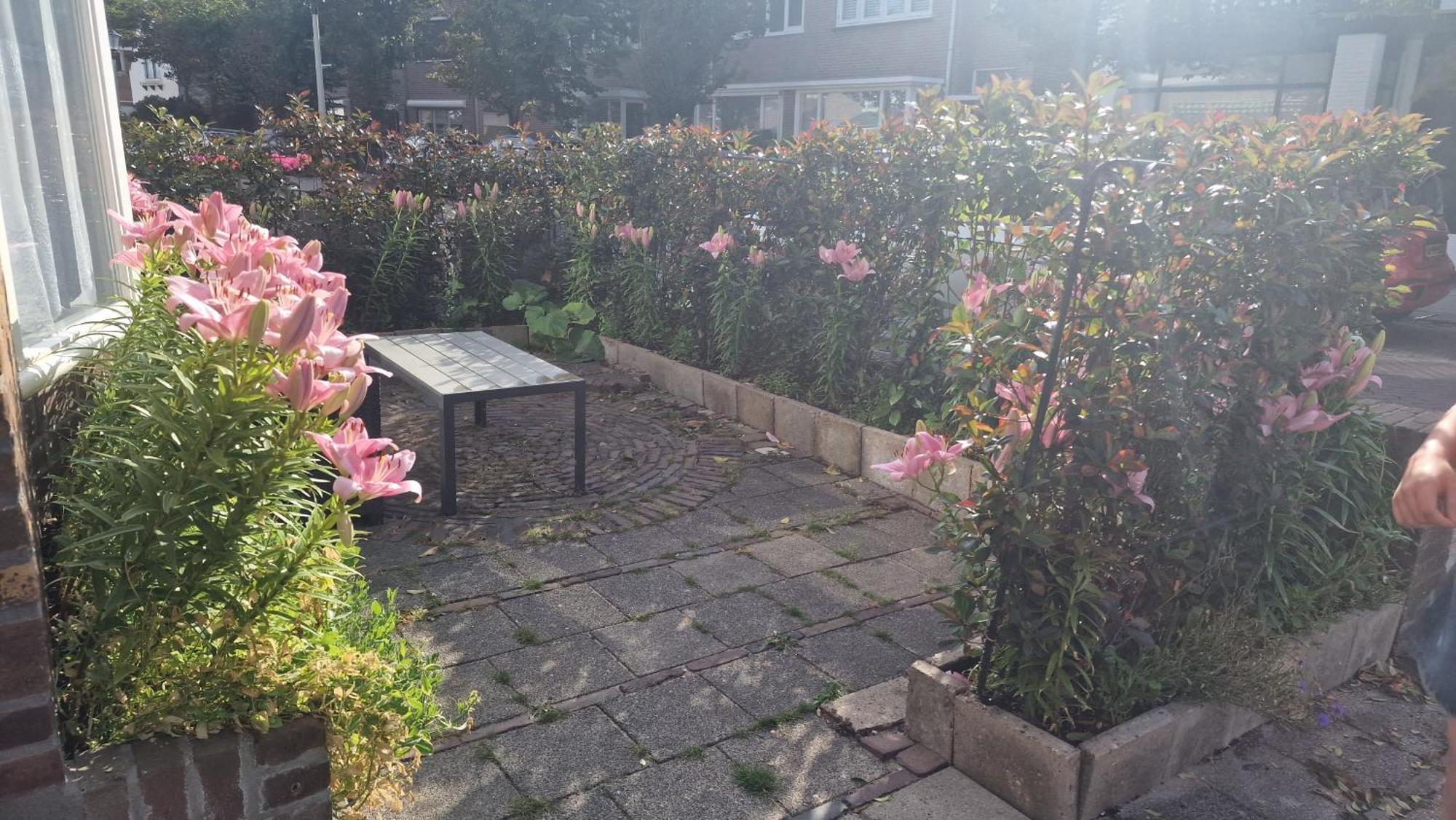 Guesthouse Zandvoort Ngoại thất bức ảnh