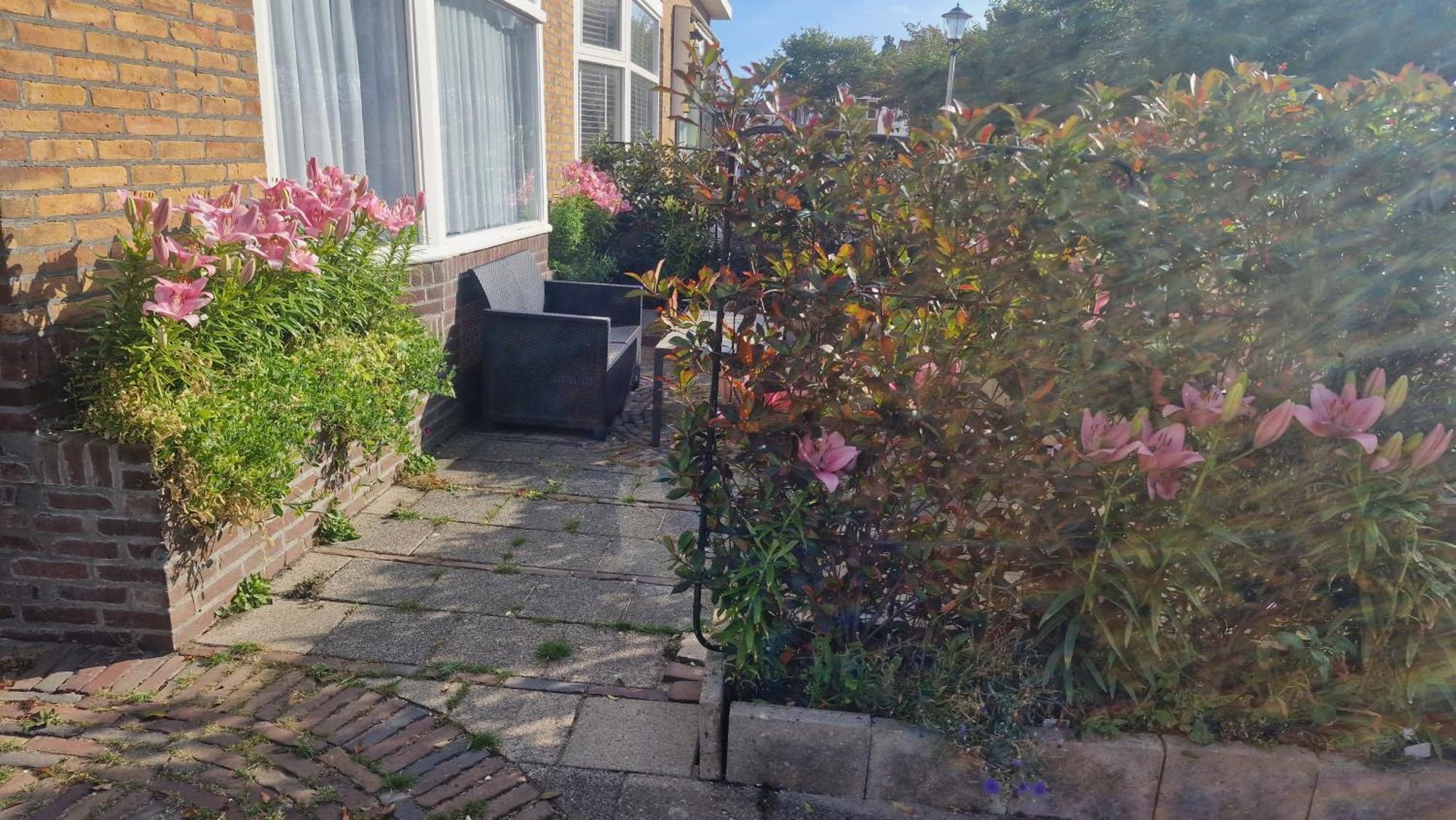 Guesthouse Zandvoort Ngoại thất bức ảnh
